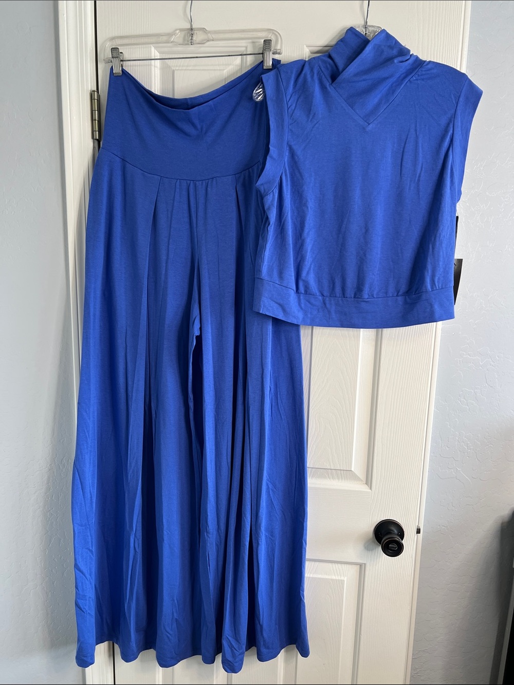 NWT Kiya Tomlin Amparo Blue wide leg pleated pants & sleeveless top set - Picture 3 of 14
